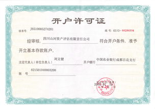 四川山河資產(chǎn)評估有限責任公司 專業(yè)評估服務，守護資產(chǎn)價值