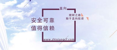 上海市P2P平臺優(yōu)劣判斷指南 融資咨詢服務(wù)必知要點