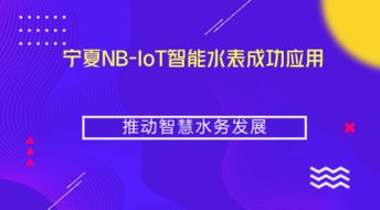 寧夏NB-IoT智能水表成功應(yīng)用，推動(dòng)智慧水務(wù)與智能水務(wù)系統(tǒng)開(kāi)發(fā)